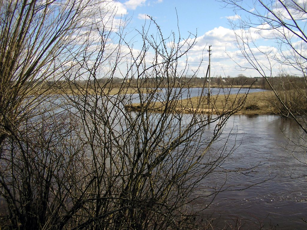 river near Bolnichnaya str.