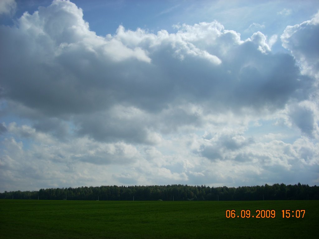 Зелень и синь.
