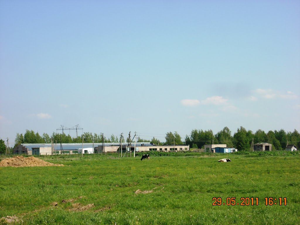 Верханово.