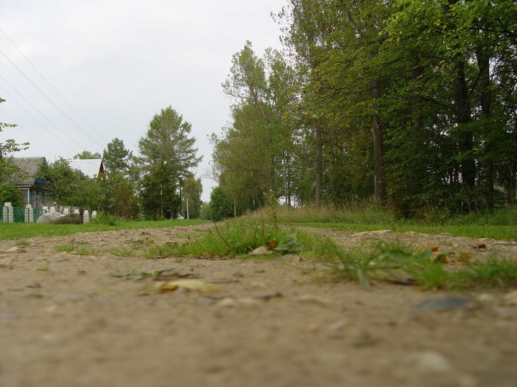 ул. Чкалова