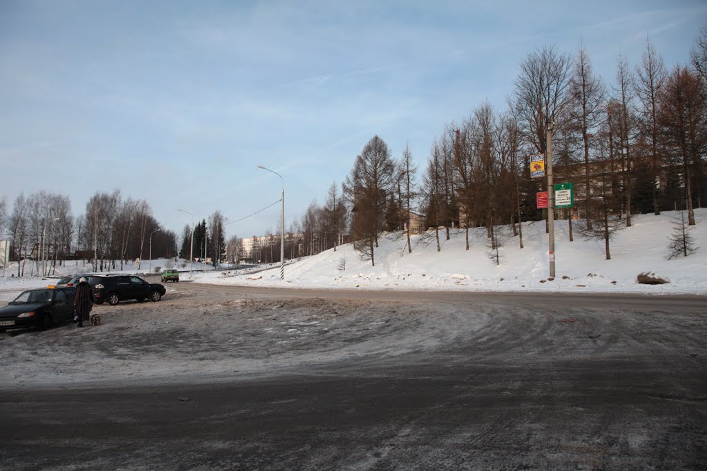 М9 в Зубцове. M9 in Zubcov