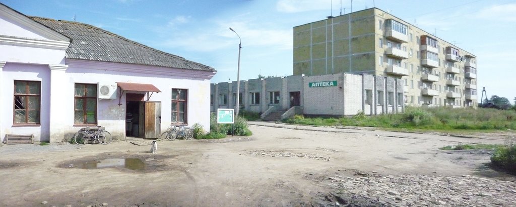 shop