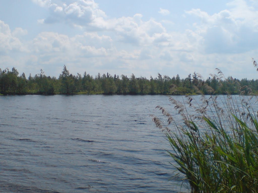 Radchenko