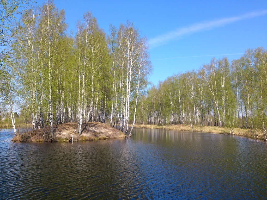 бассейка