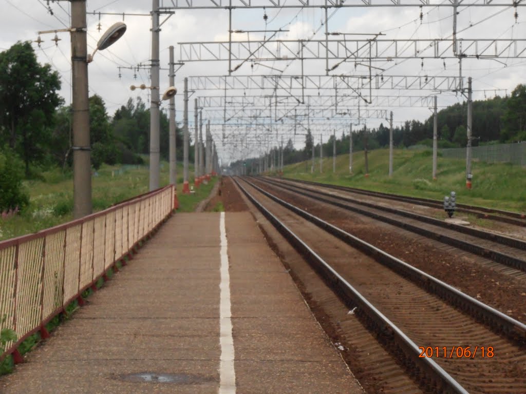Железная дорога