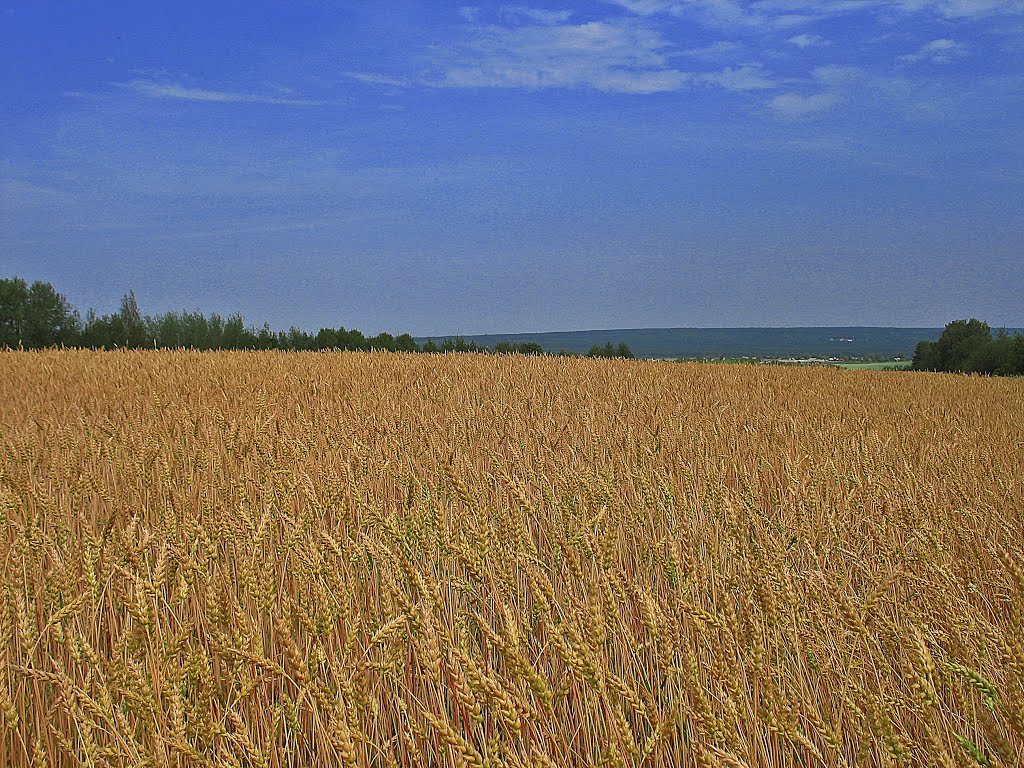 г. Калязин, окрестности..