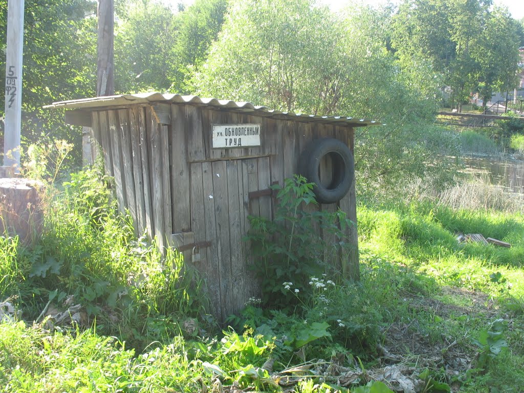 Kashin
