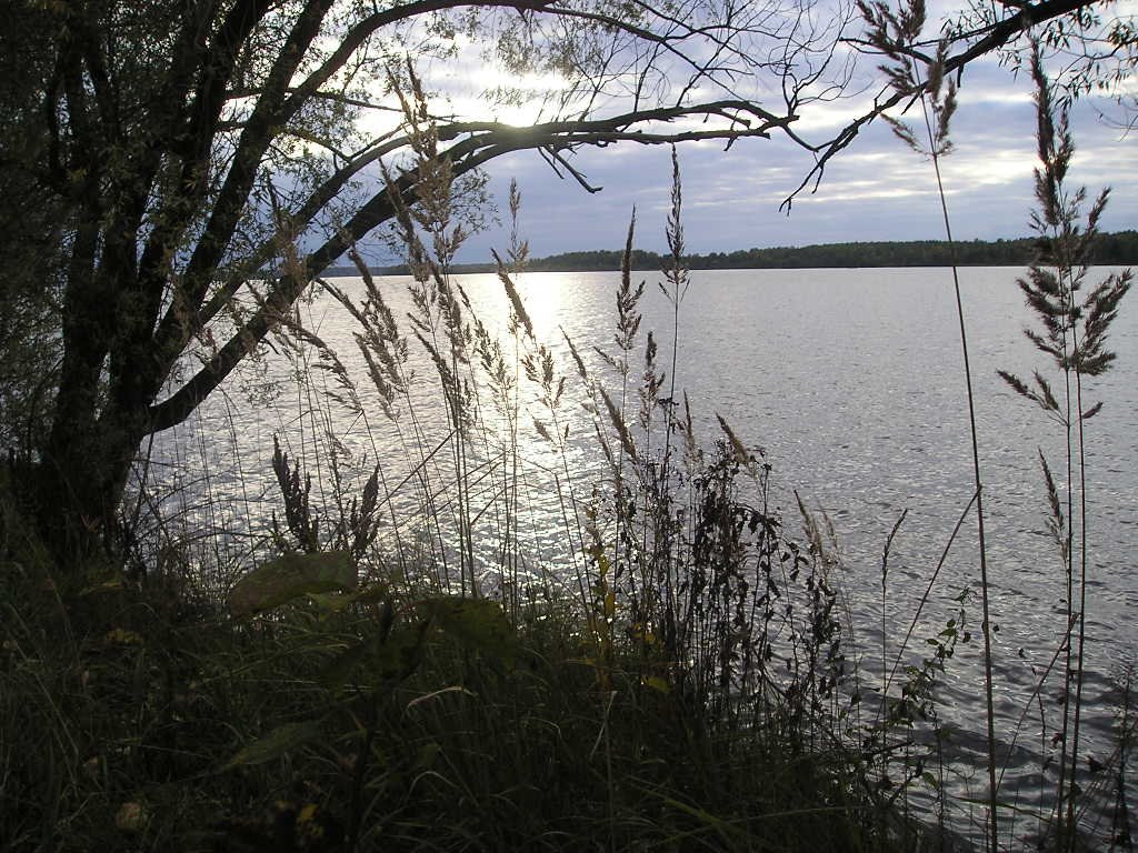 Иваньковское водохранилище на окранине Конаково (Ivankovskoye resrvoir)
