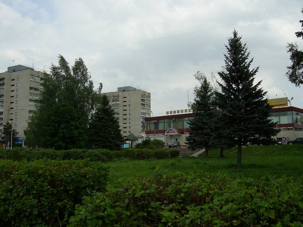 Торговый центр (Shopping center)