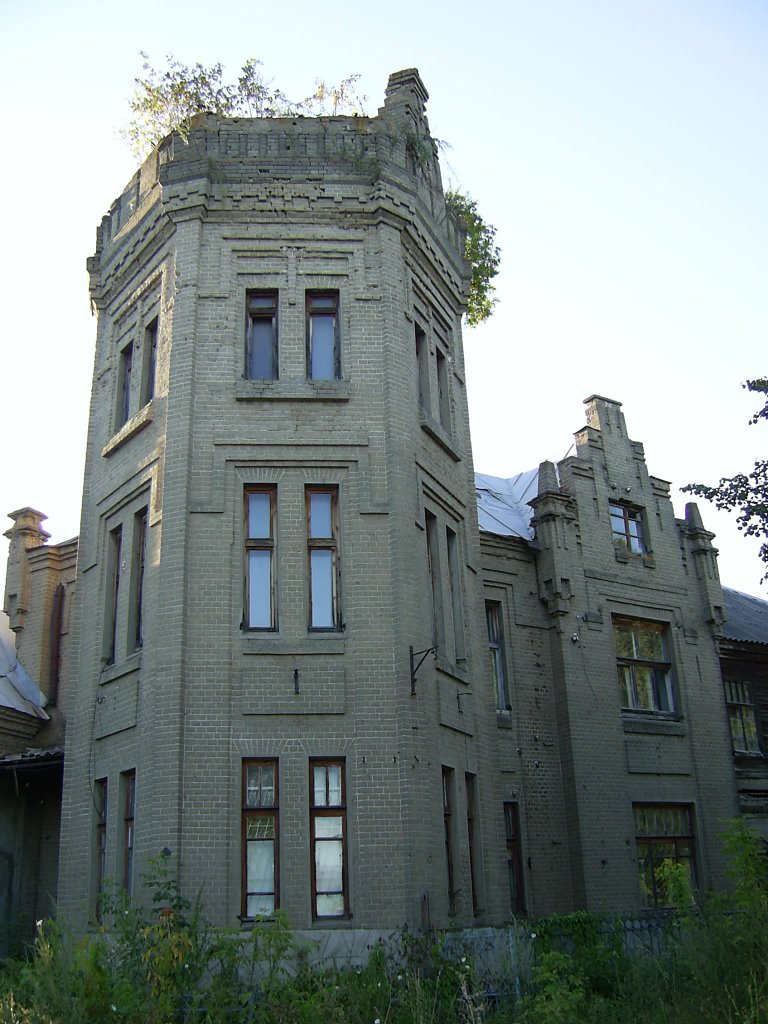 Здание ДОСААФ (The DOSAAF building)