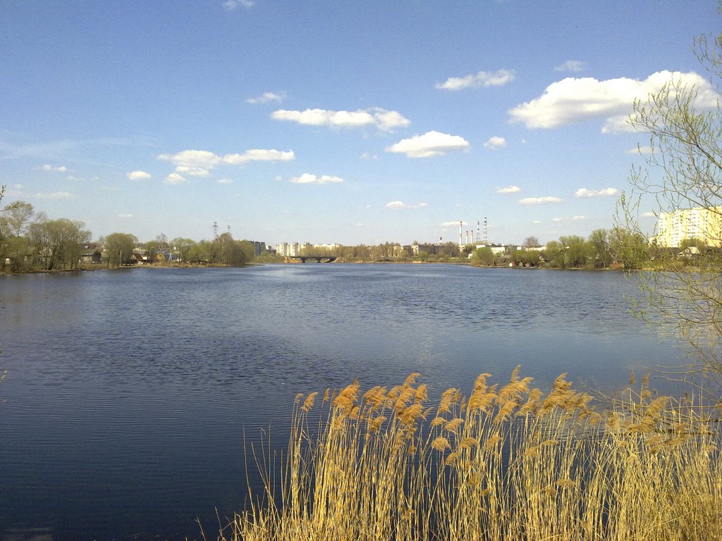 Залив