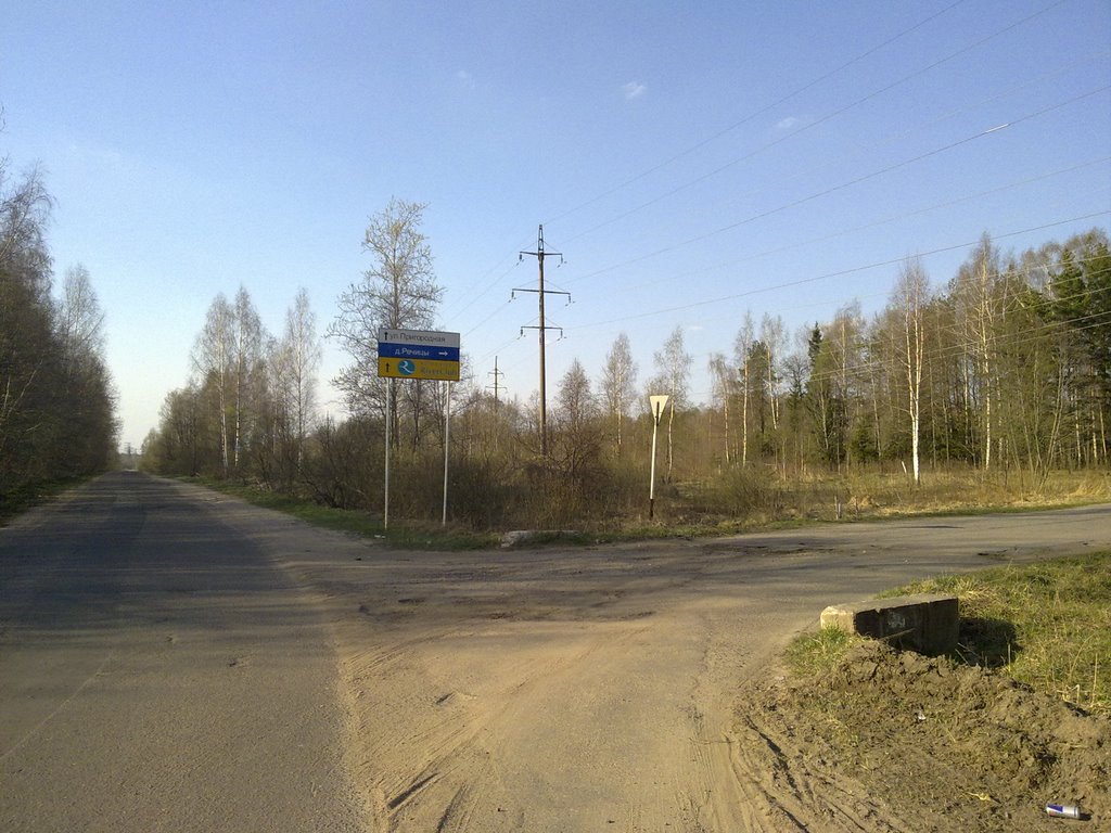 Поворот на Речицы