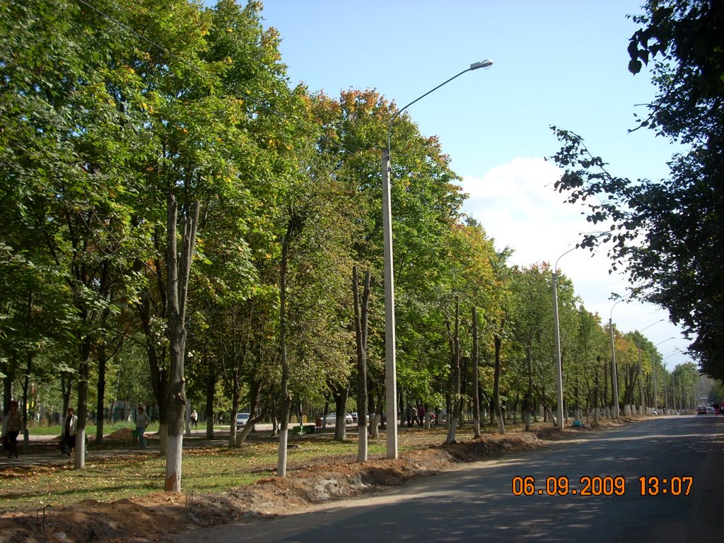Проспект Ленина.