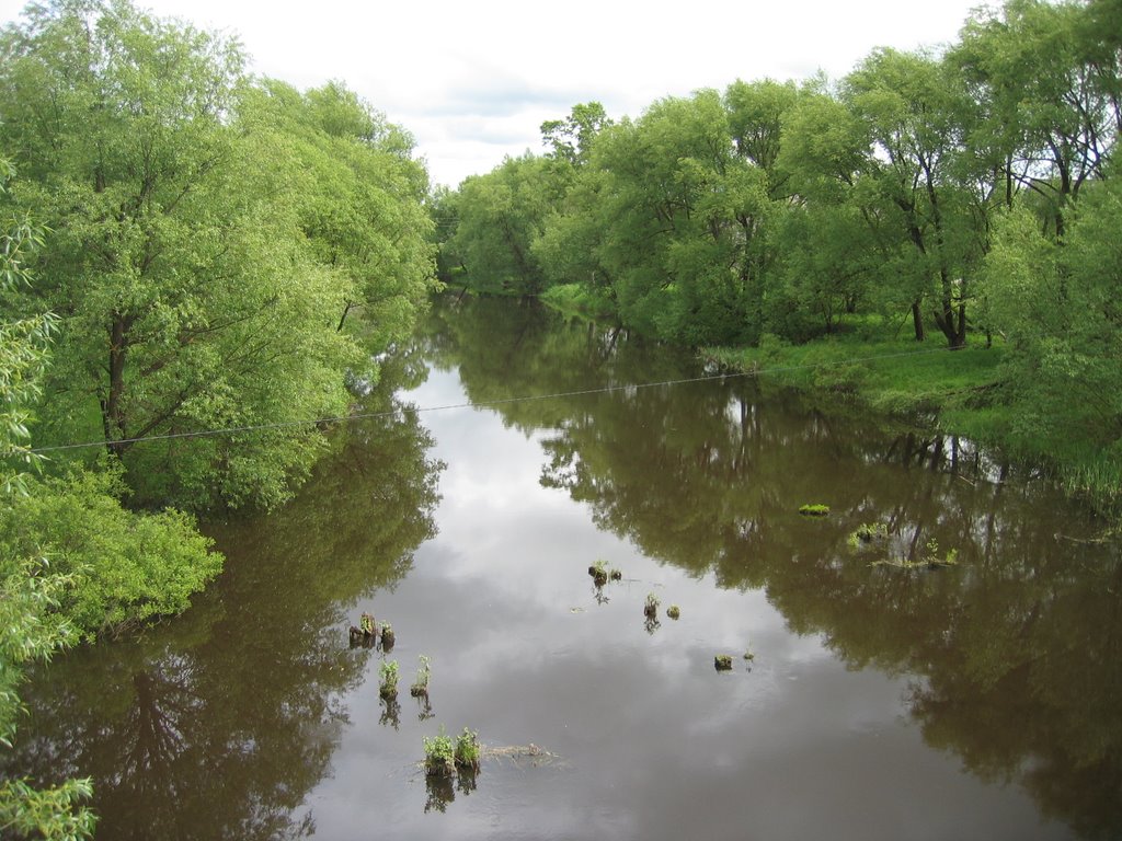 р. Неледина