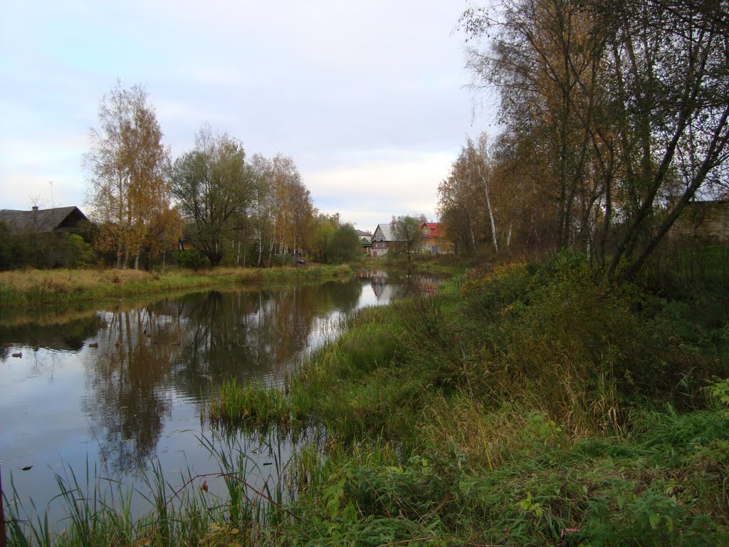 Река Неледина