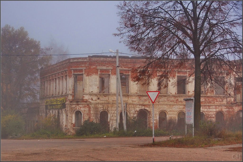 Красный Холм. Старое здание