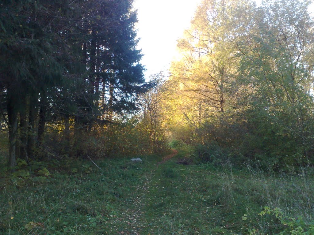 Осенняя тропинка