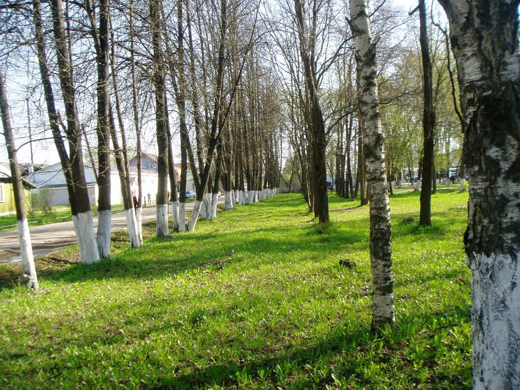 Парк