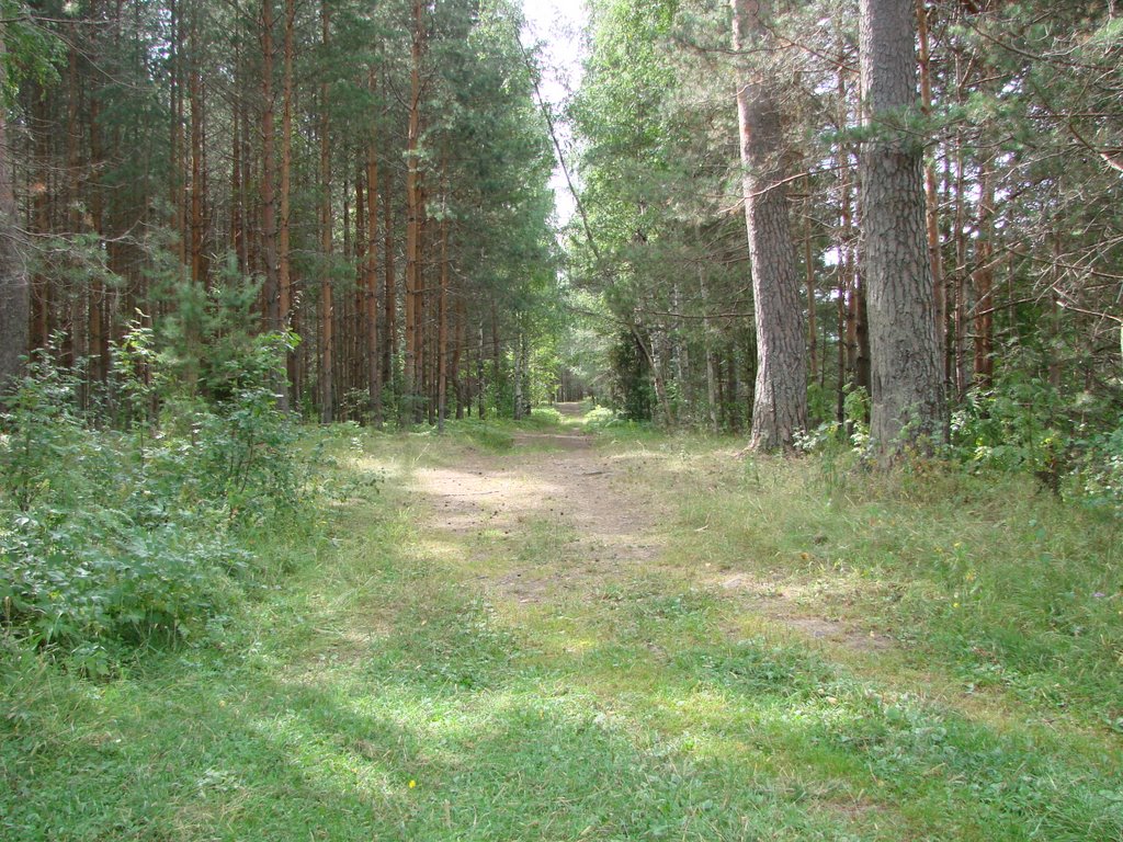 В Марьиной роще