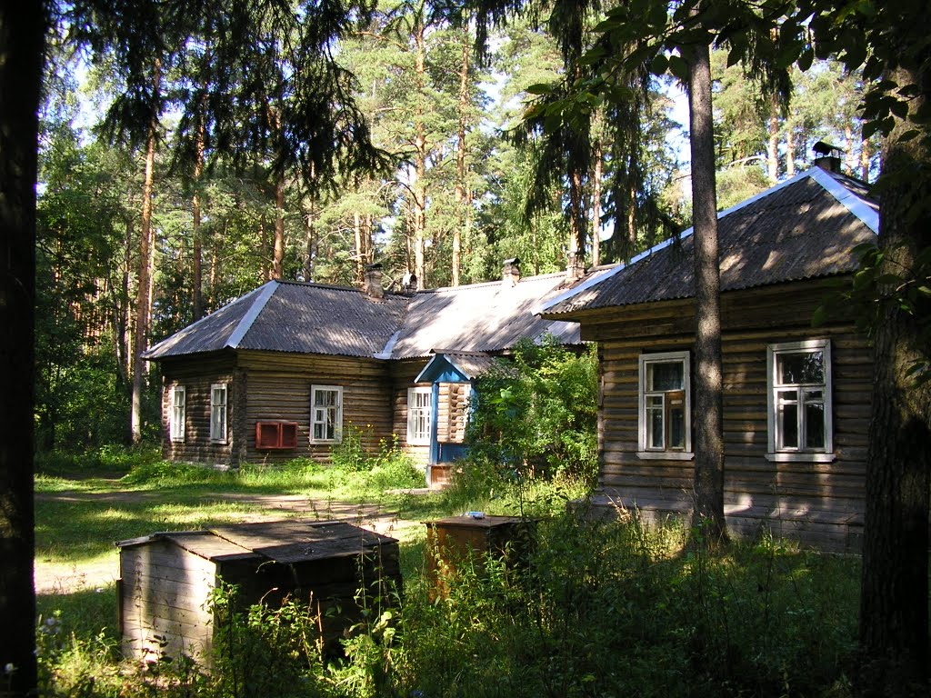 Старый больничный корпус, Максатиха___ Old building of clinica, Maksatikha
