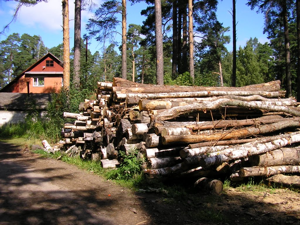 Дровишки... Максатиха___ Timber, Maksatikha