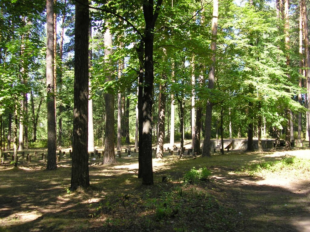 Максатиха, парк___Maksatikha,  2009