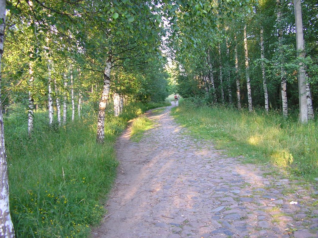 Старая мостовая к вокзалу, Максатиха___ Old road to railway station, Maksatikha