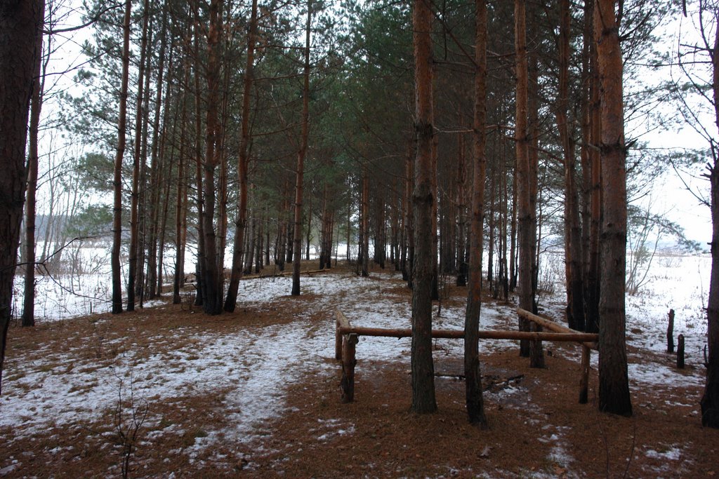 Максатиха, Волчина (2008)