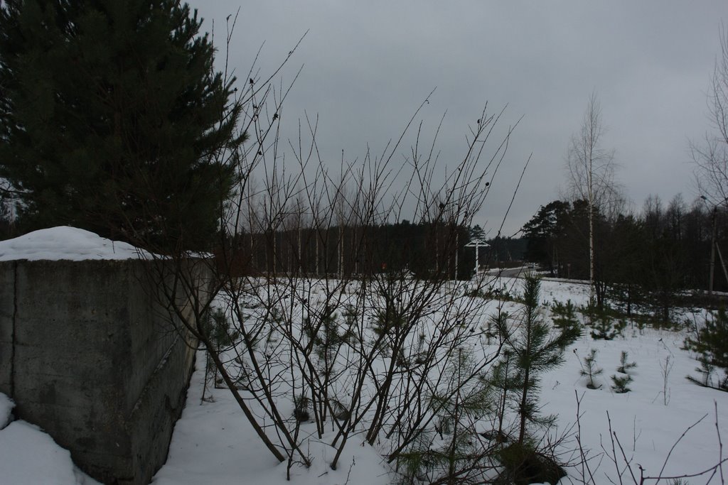 Максатиха, центр (2008)