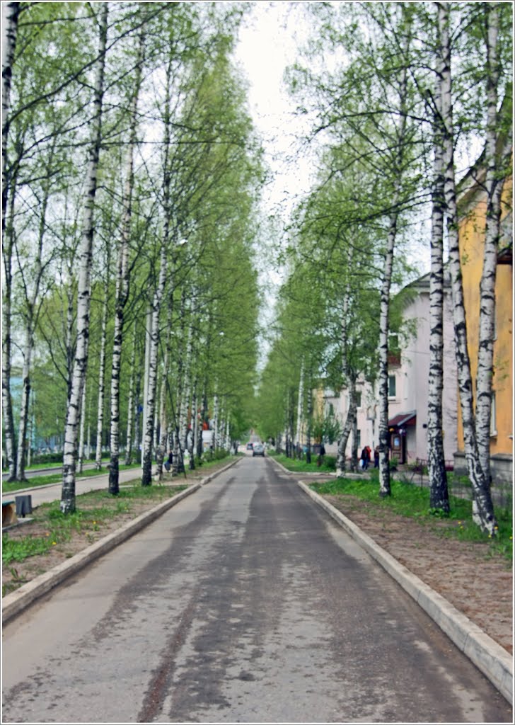 Весна на улицах Нелидово