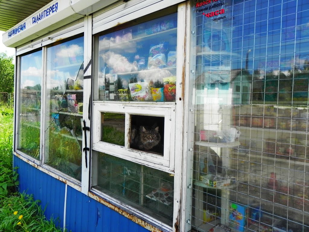 Мурка за кассой.
