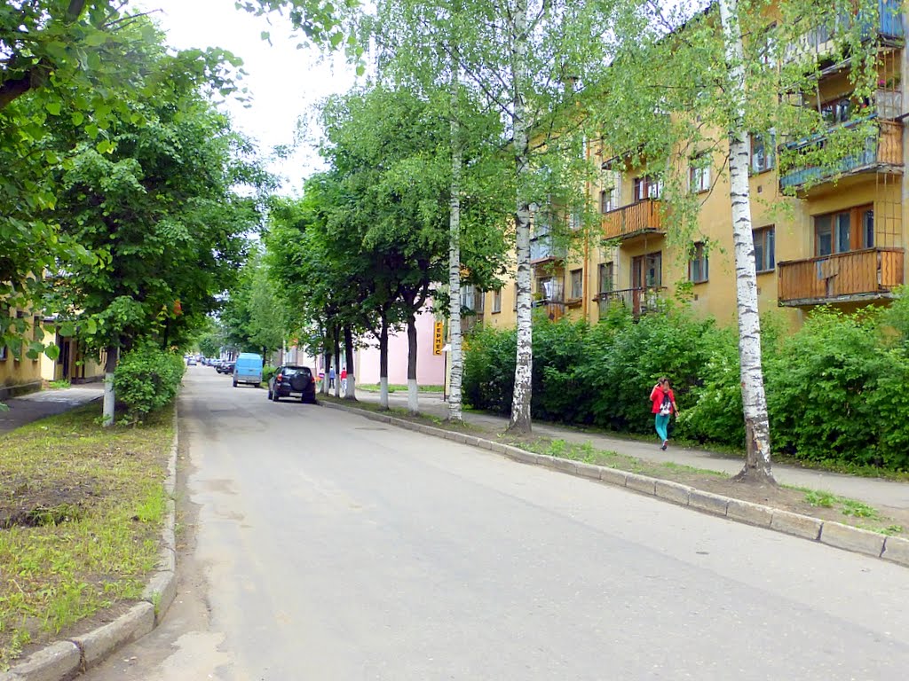 г. Нелидово, Тверская область, Россия. Улица Горького.