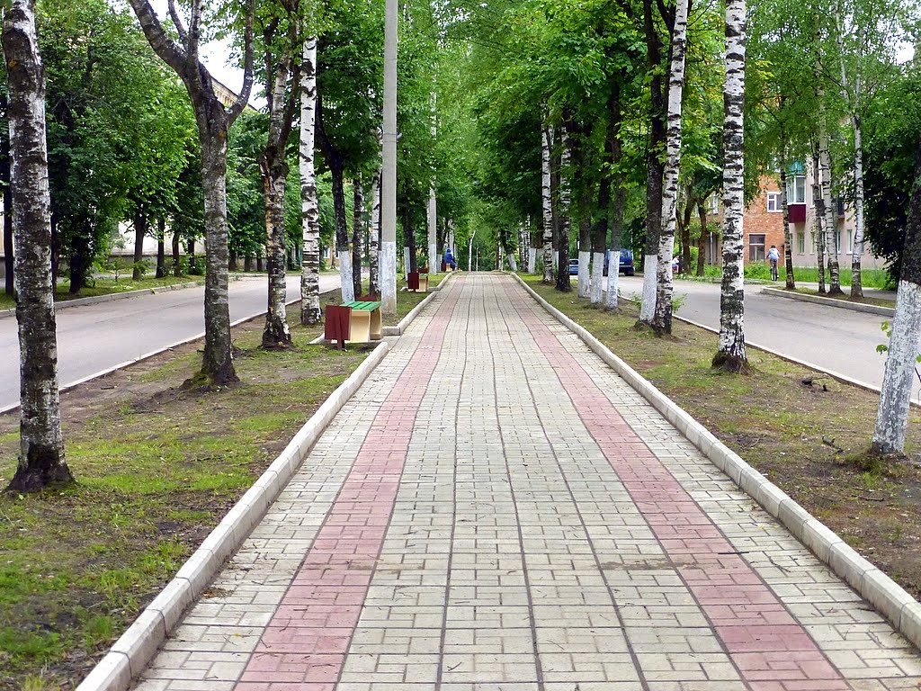 г. Нелидово, Тверская область, Россия. Проспект Ленина.