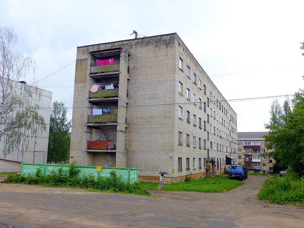 г. Нелидово, Тверская область, Россия. Казанская улица, д.8.