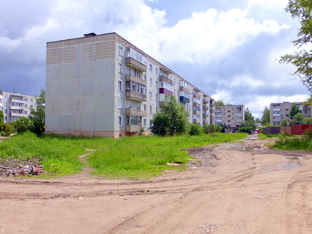г. Нелидово, Тверская область, Россия. Улица Куйбышева.