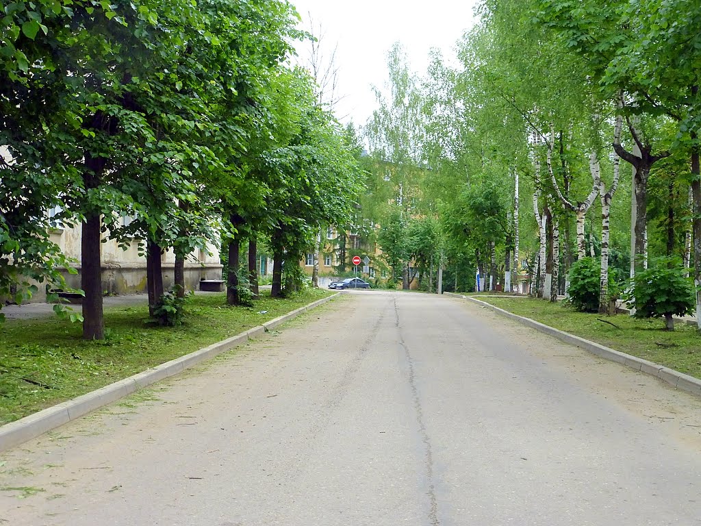 г. Нелидово, Тверская область, Россия. Проспект Ленина.