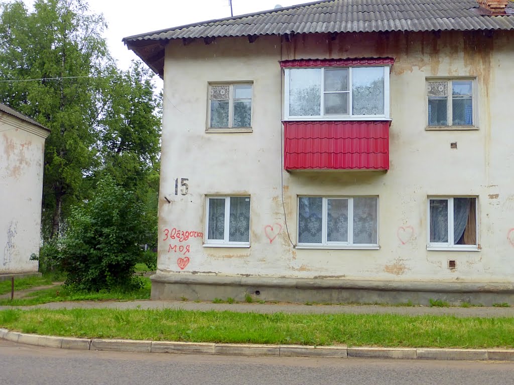г. Нелидово, Тверская область, Россия. Улица Шменкеля.