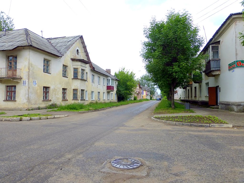 г. Нелидово, Тверская область, Россия. Улица Нахимова.