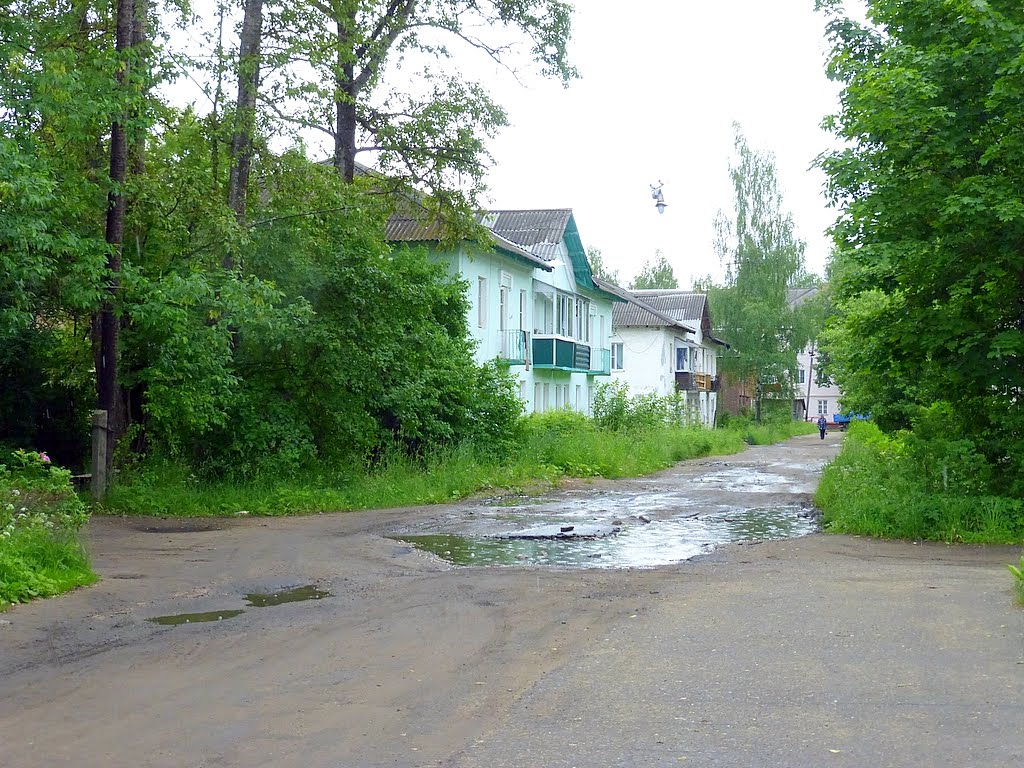 г. Нелидово, Тверская область, Россия. Переулок Патриса Лумумбы.