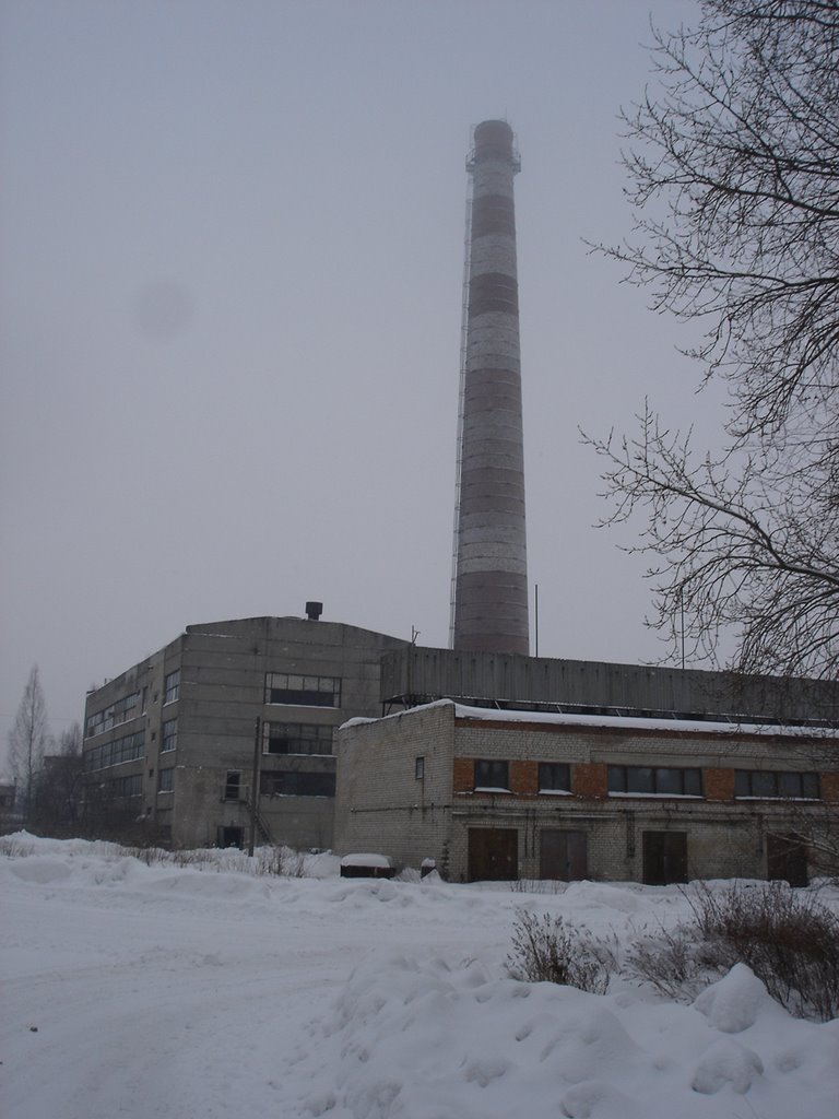 Нелидовский завод.
