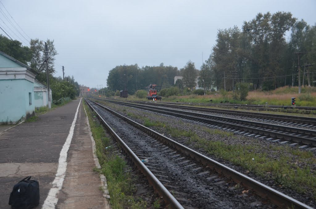 Станция Нелидово. Вид в сторону разъезда Подсосенка.