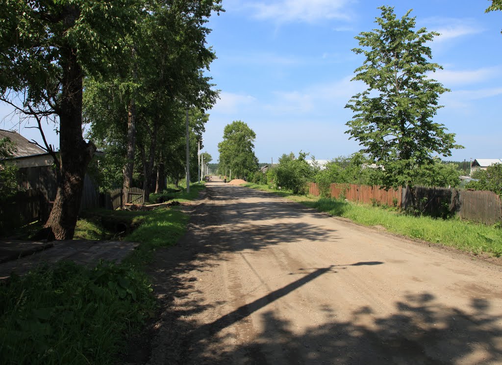 Улица 1-го Мая. First May street