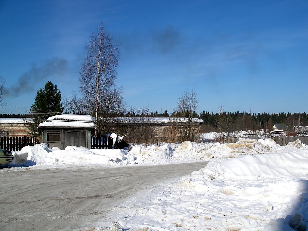Оленино