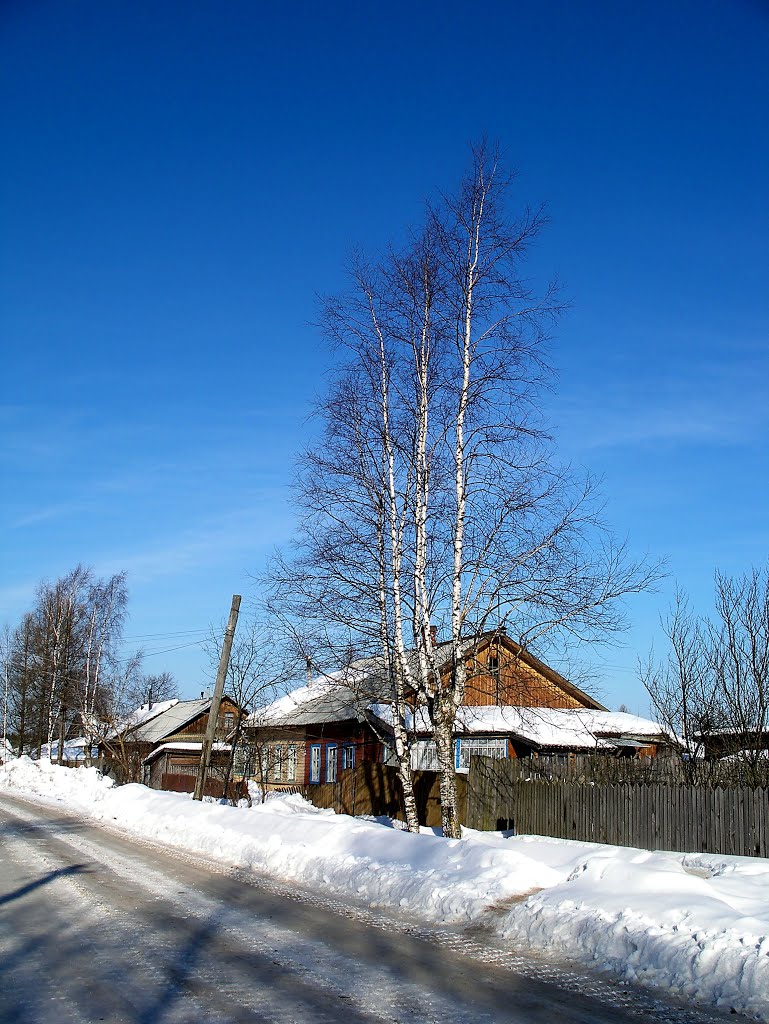 Оленино