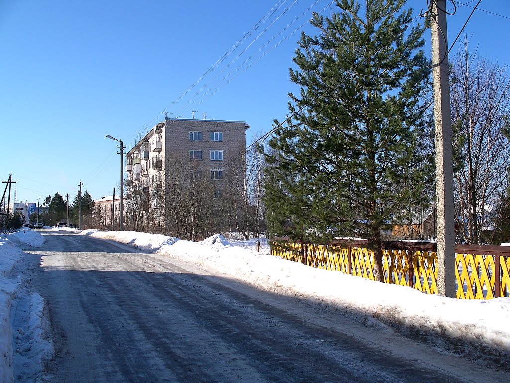 Оленино