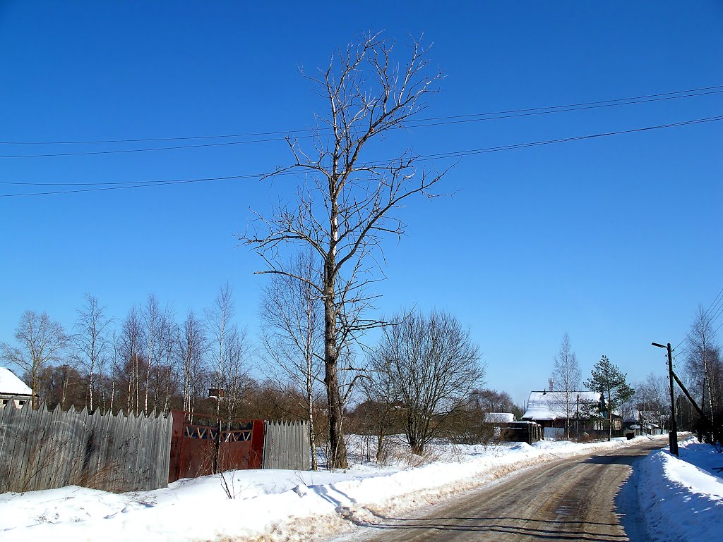 Оленино