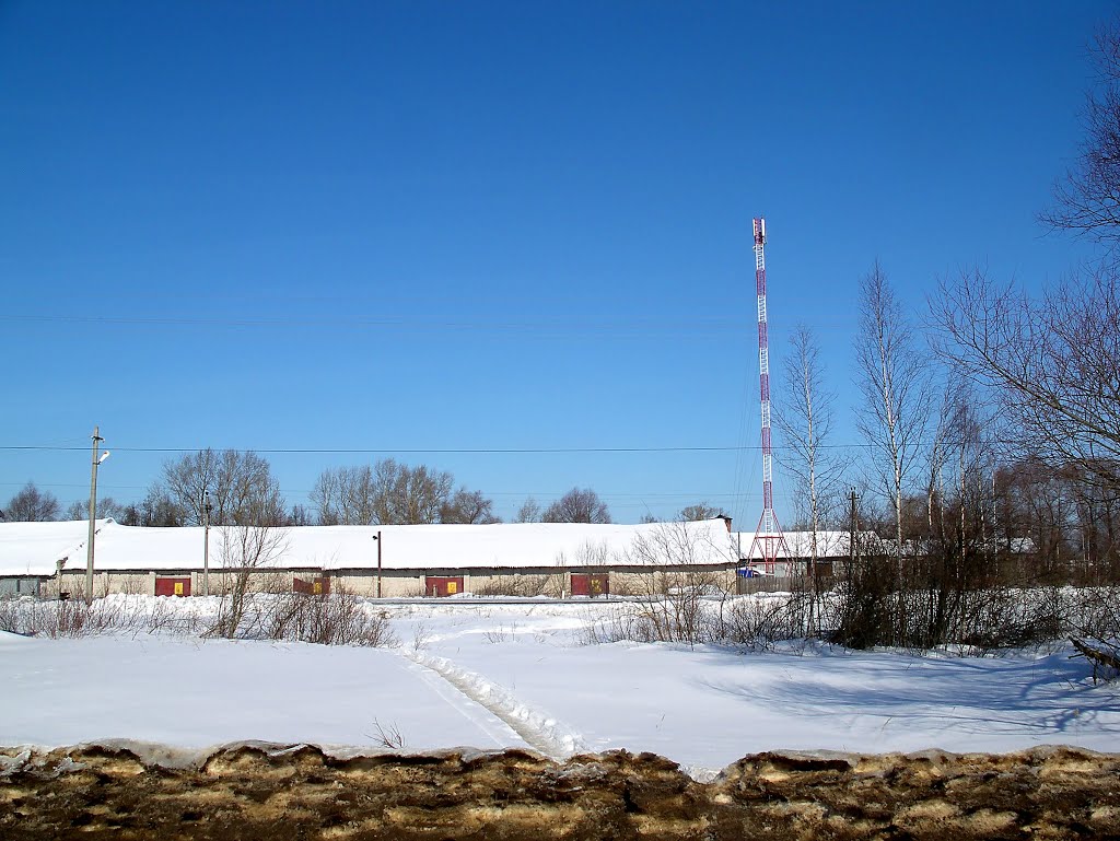Оленино