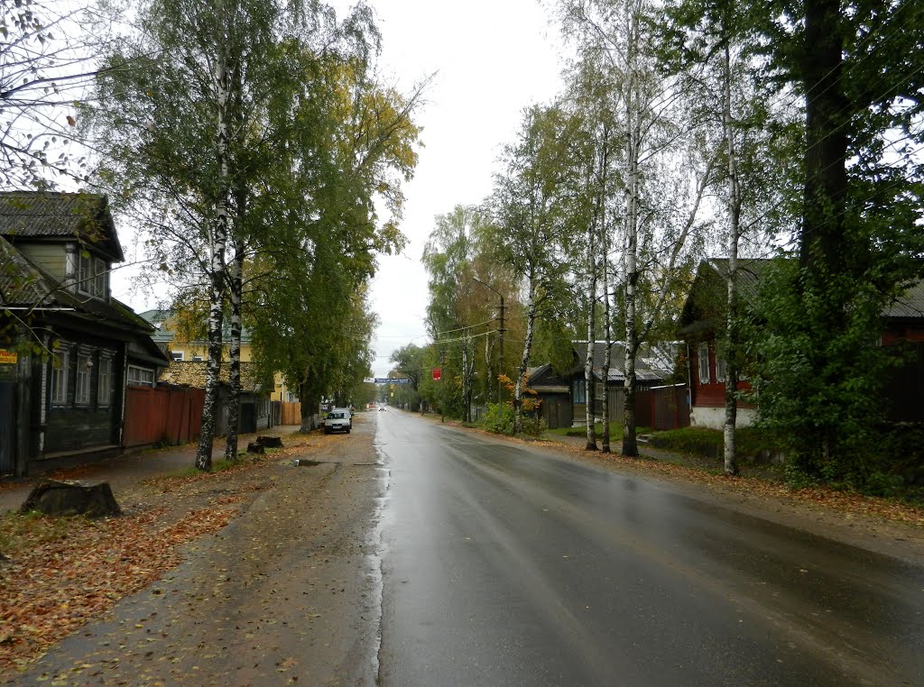 Практически центральная улица ). Осташков