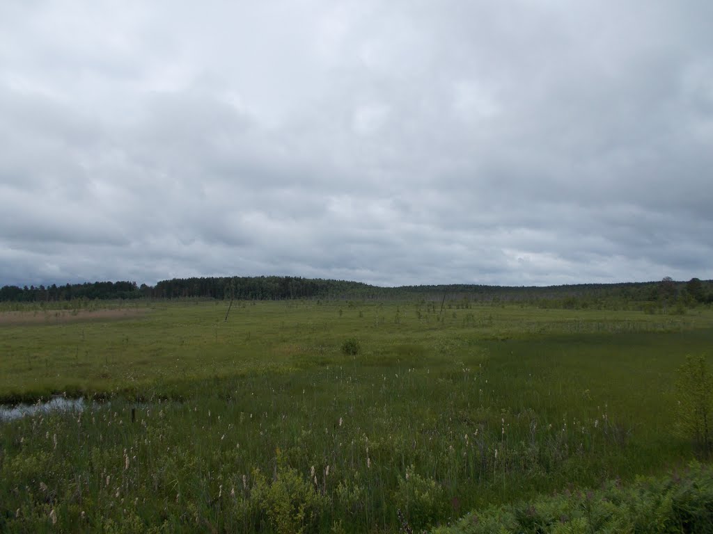 Пеновский район, Тверская Область