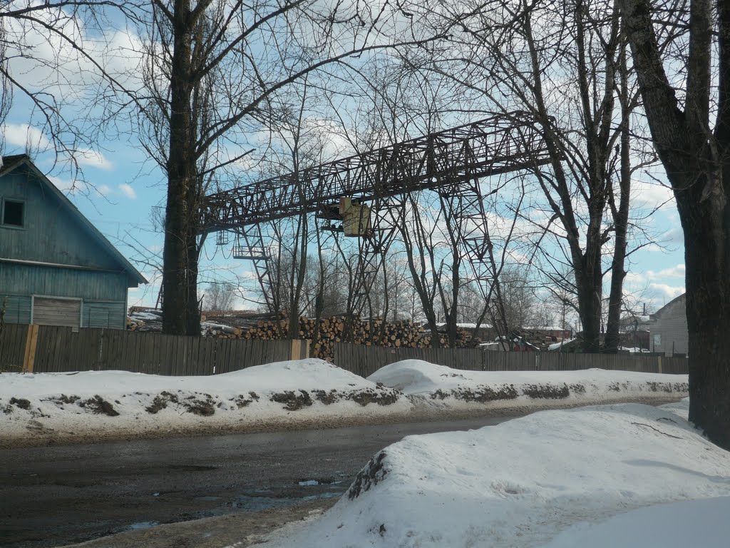 Пилорама